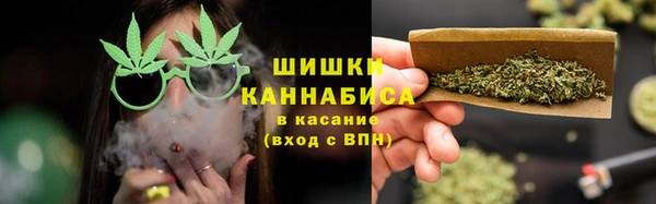 дживик Аркадак