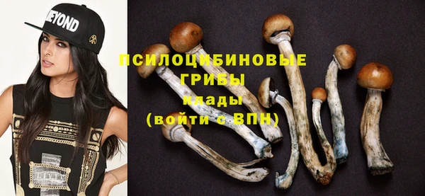дживик Аркадак