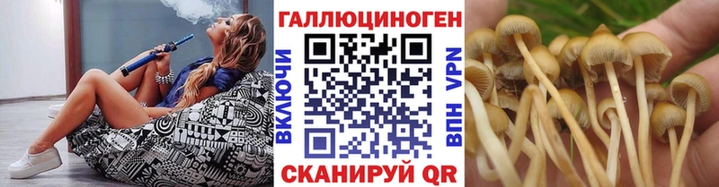 Галлюциногенные грибы MAGIC MUSHROOMS  Нижнеудинск 